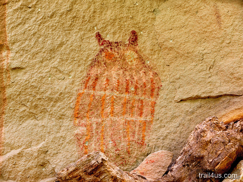 The Owl Site