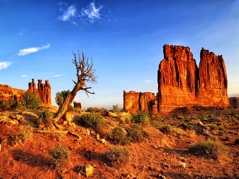 Lower Section Arches NP